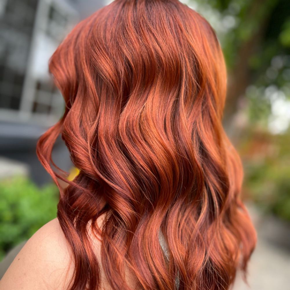 All Over Solid Color