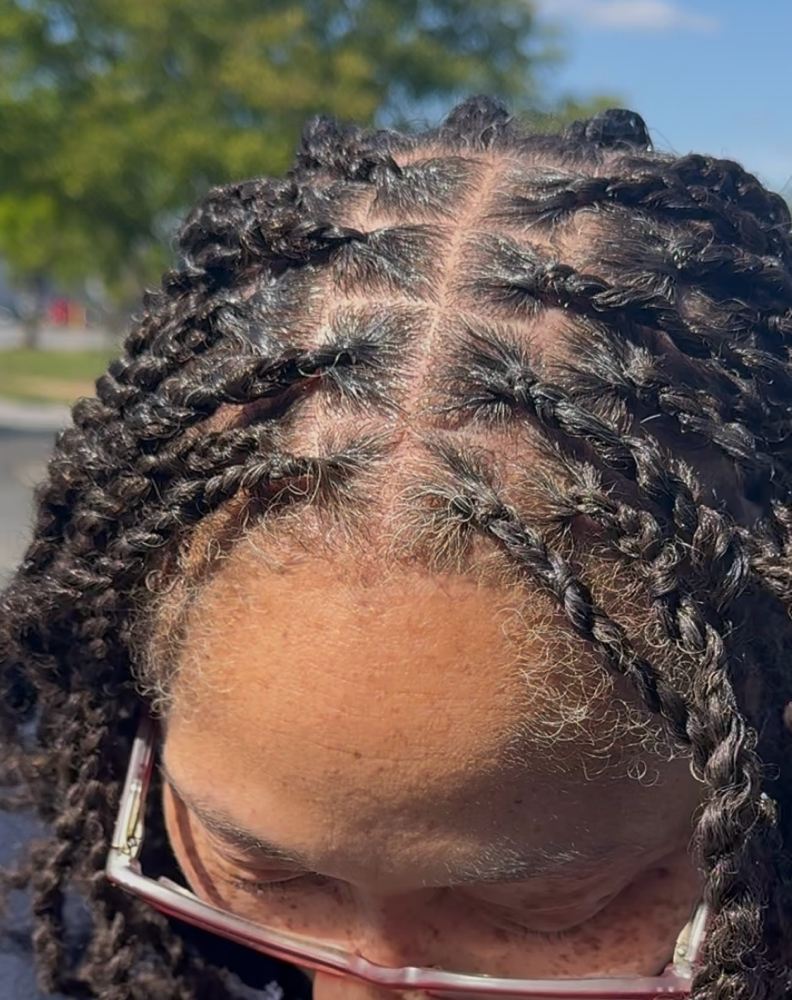 Mini Twists (HAIR NOT PROVIDED)