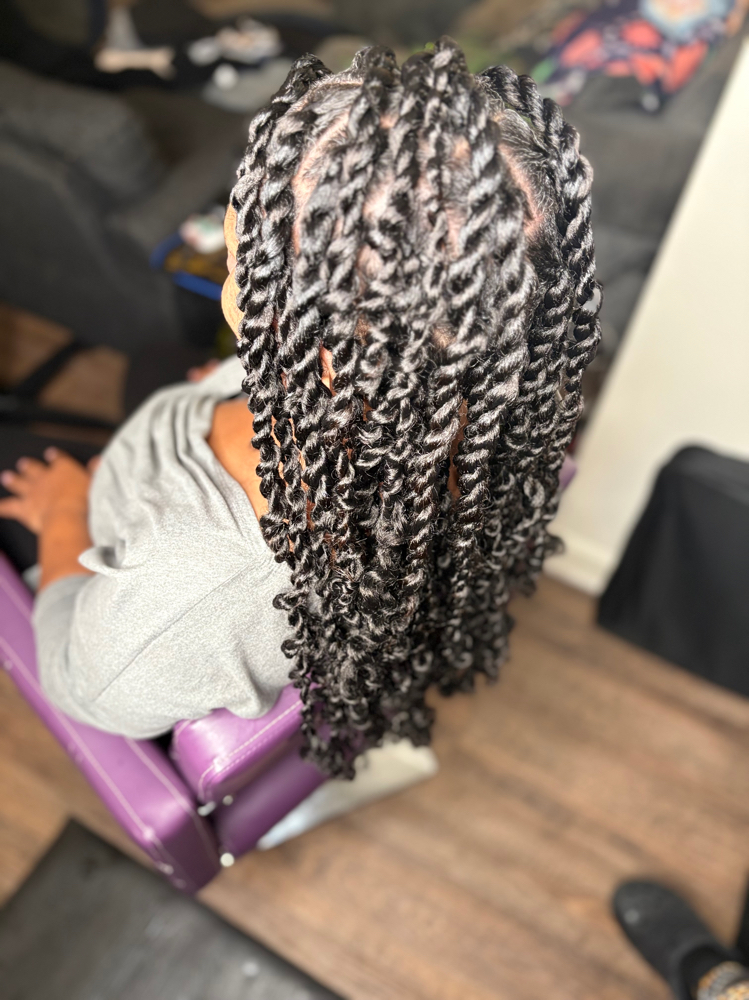 Passion/Island/Senegalese Twists