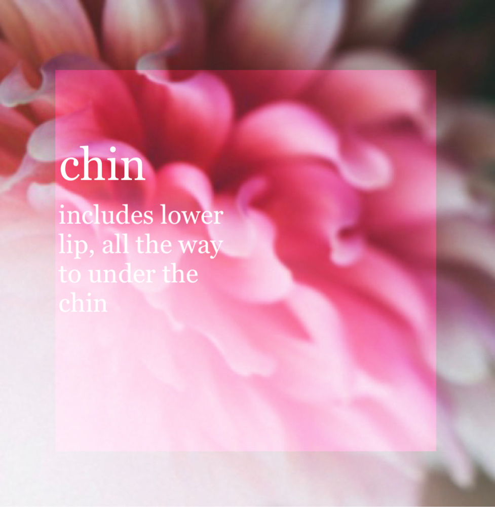 Chin