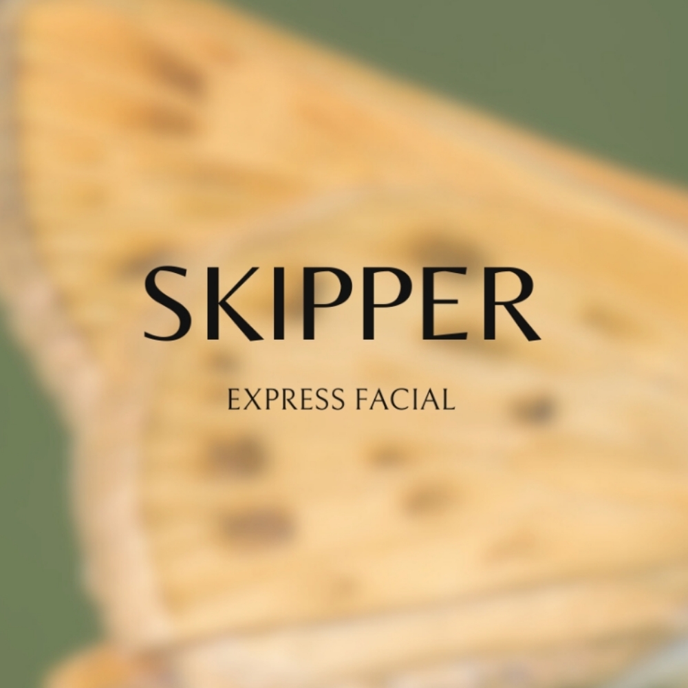 SKIPPER Express Facial at V Spas in Watertown, MA