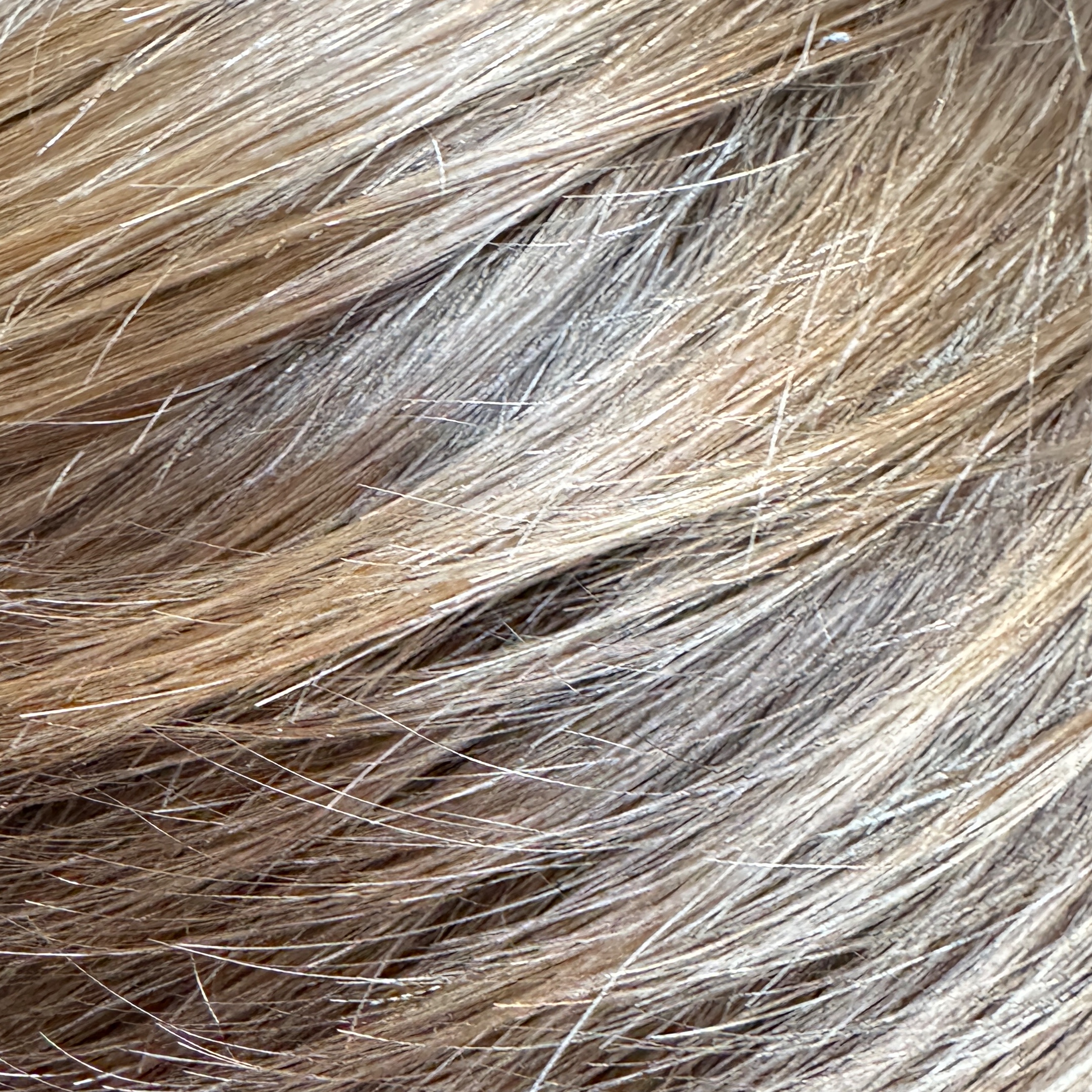 Toner (add-on) at Hair by Kristen McGraw in El Grenada, CA