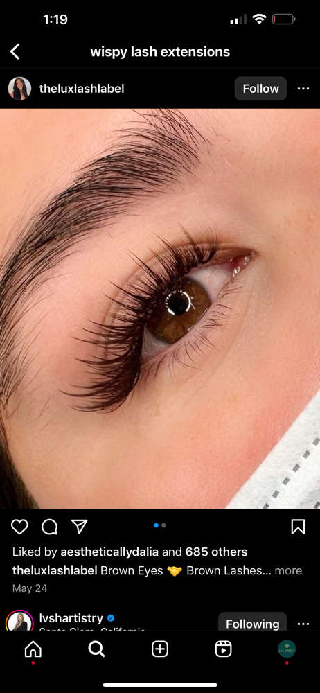 Brown Lashes