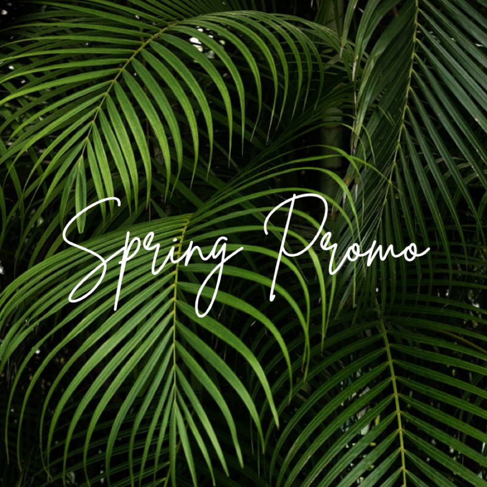 Scalp Scrub, Conditioning + Blowout at beautybymarjorieanne in Tracy, CA