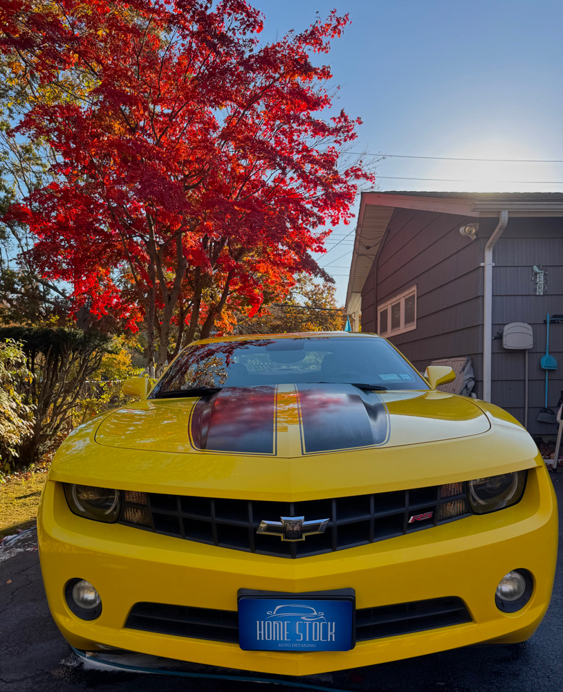 Wax Protection