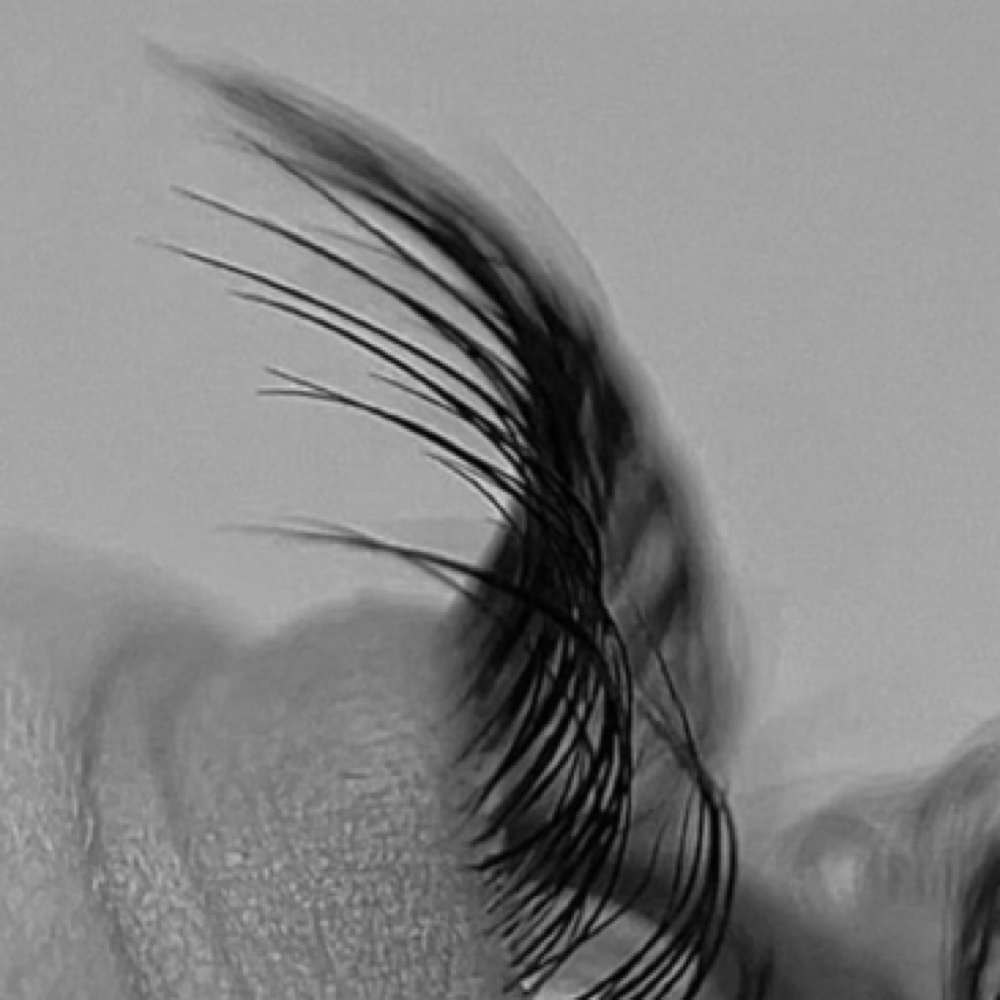 KOREAN LASH LIFT & TINT at Trinity Aesthetics in Castro Valley, CA