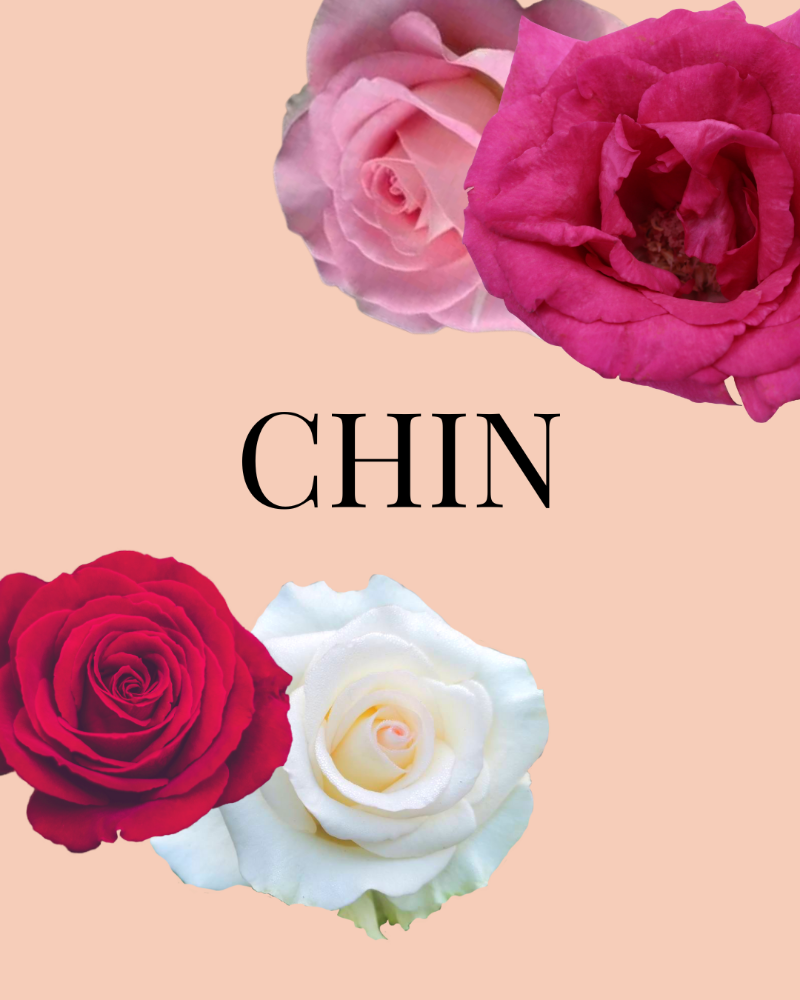 CHIN