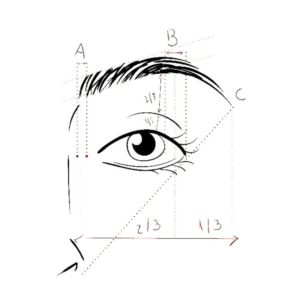 Brow Mapping Service