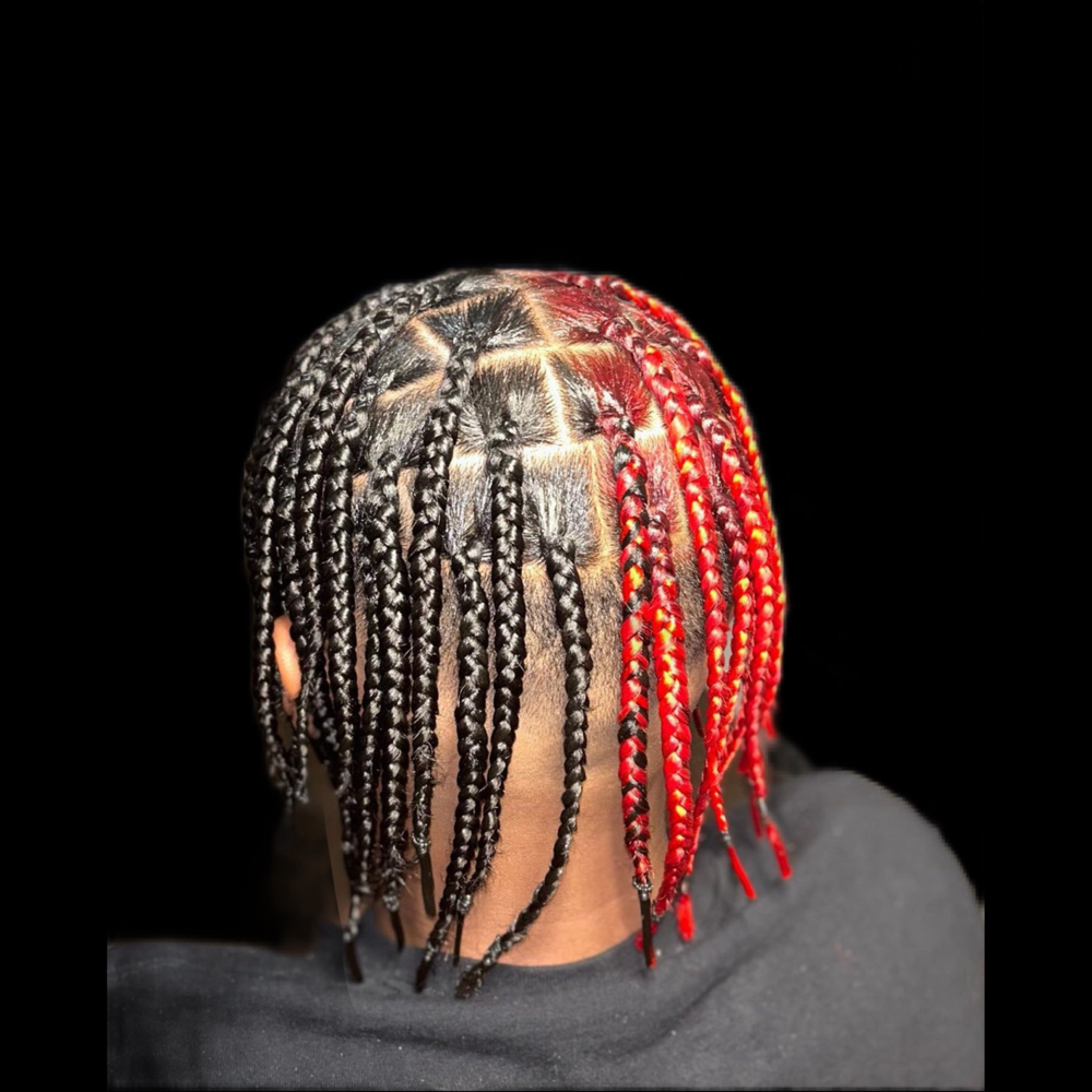 Small Box Braids