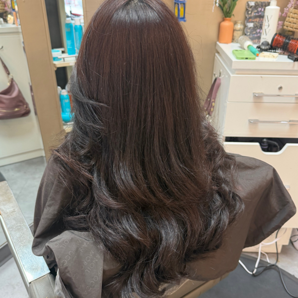 Root Touch-Up / All-Over Color at Alnoor beautyhouse in Brookfield, WI