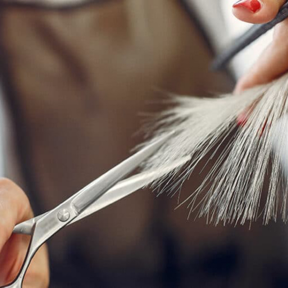 Maintenance Haircut at Boojie Cartel LLC in Torrance, CA
