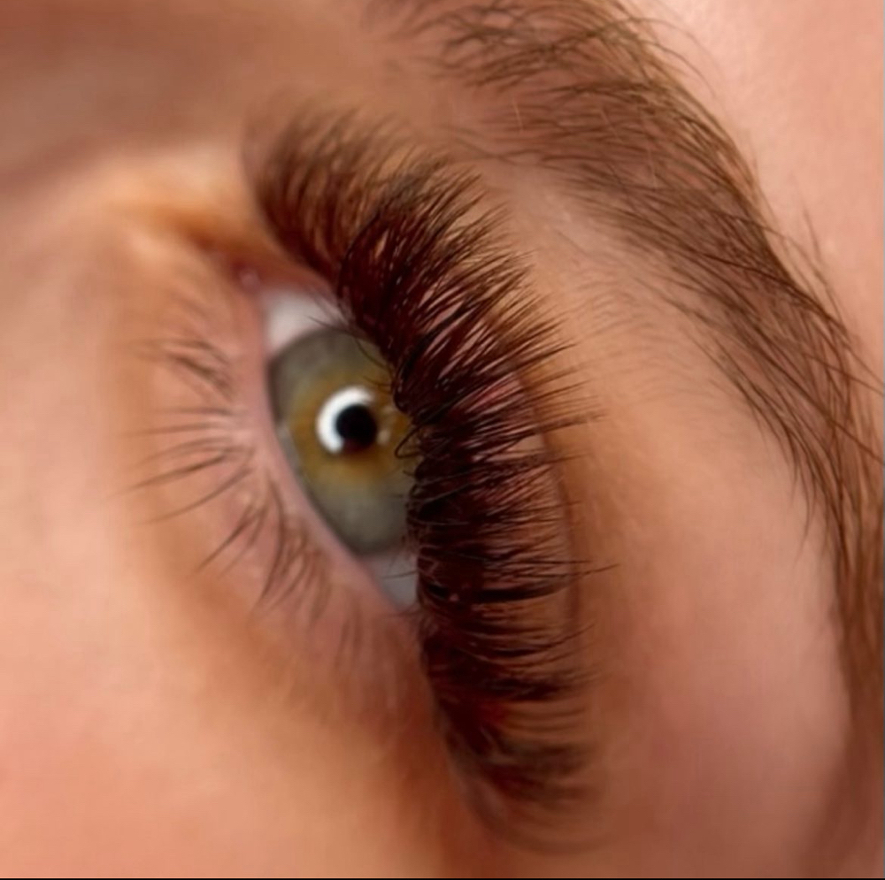 Brown Lashes/Color Lashes