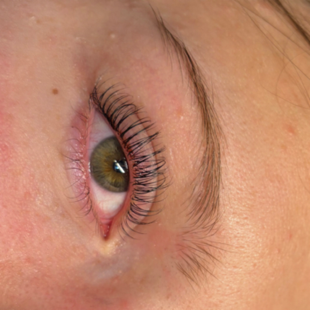 Lash Lift at Premier Lash Spa & Academy in Effingham, IL