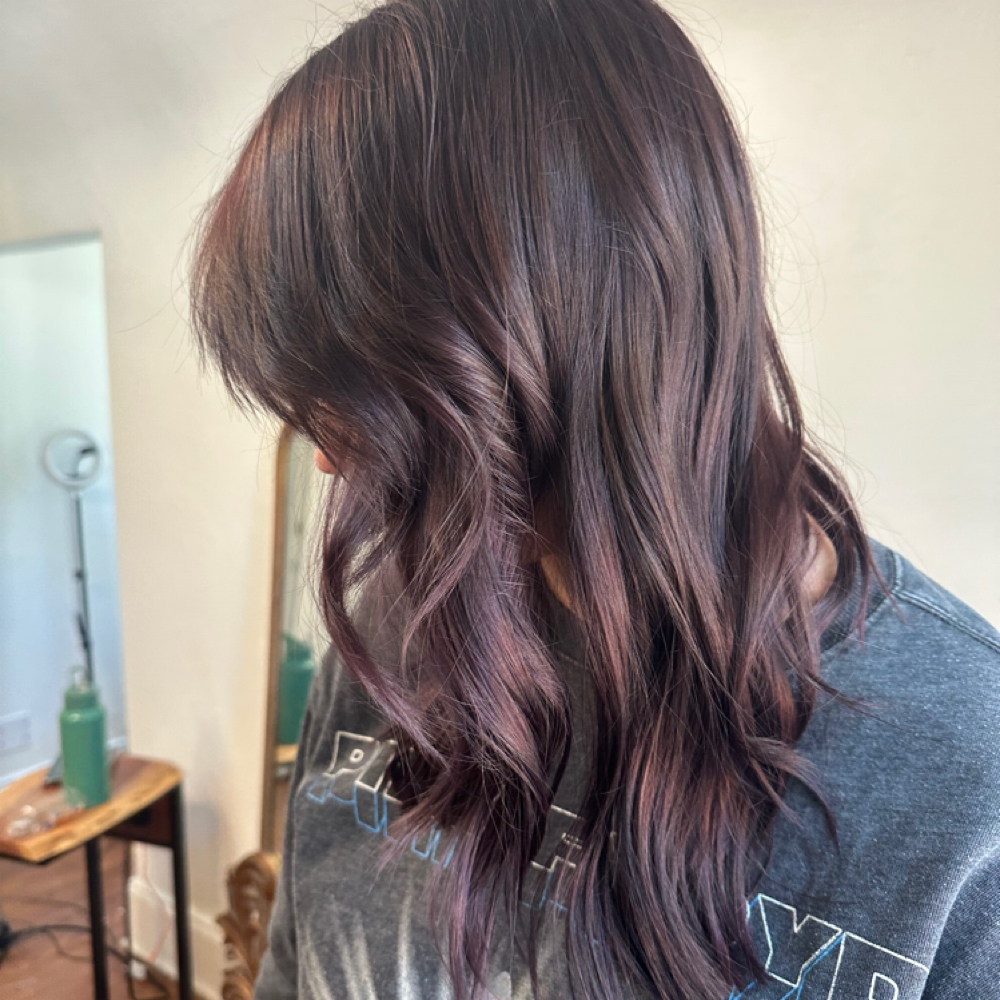 2 Hour Color Service at Jordan the Hair Fairy in Tallahassee, FL