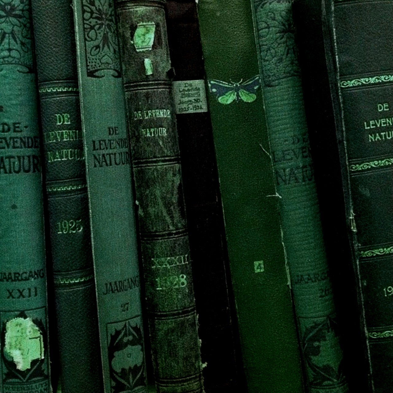 Shampoo & Style at Creations By Kaylee in Johnson City, TN