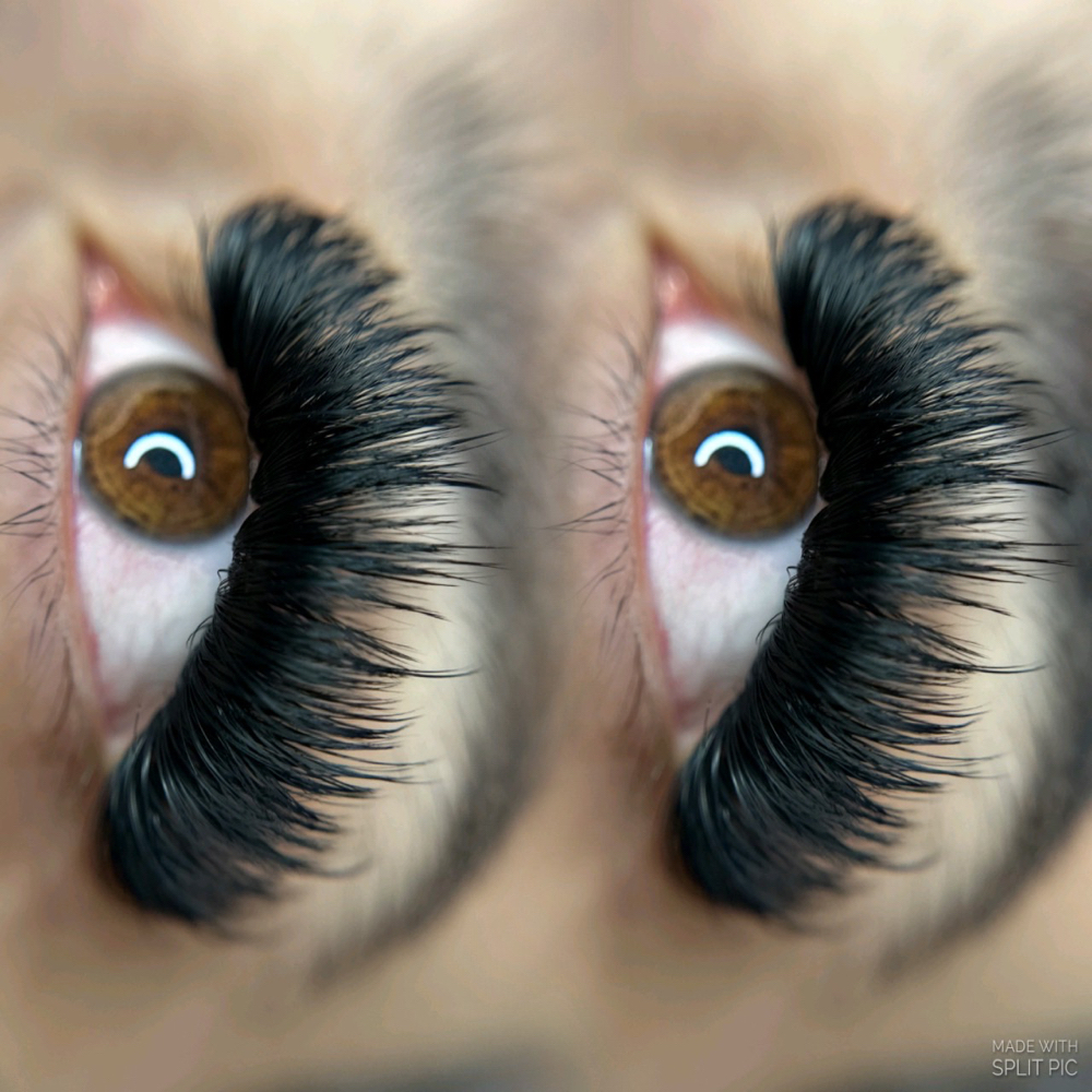 LASH TEST