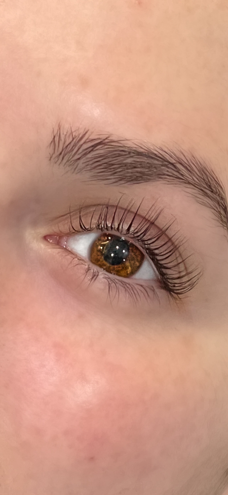 Lash Lift + Tint