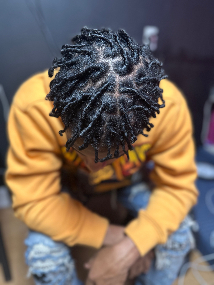 Starter Locs