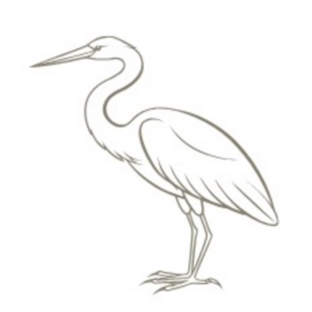 Signature Shampoo & Style at Modish Salon in Duluth, MN