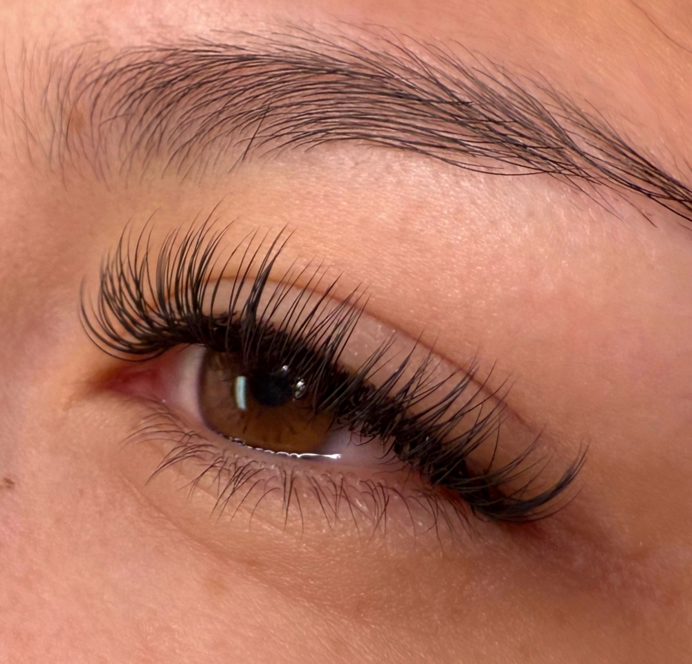 Classic Lash Ext.