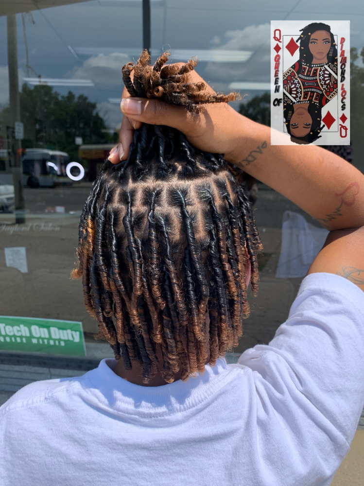 Starter Locs Medium