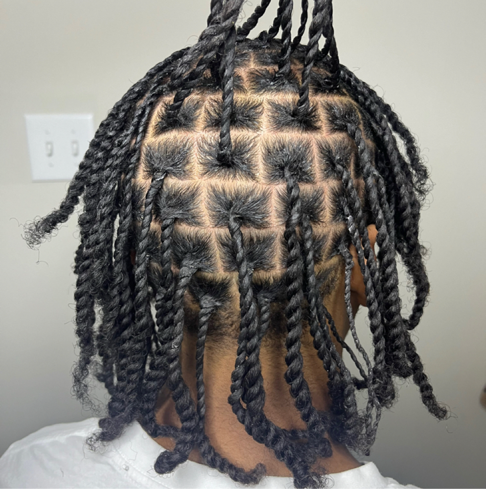 Regular Twist at Touchedbyyasiii in Atlanta, GA
