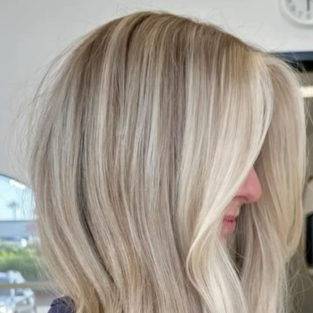 Mini Partial Highlight at Ashleigh Nyquist in Allen Park, MI