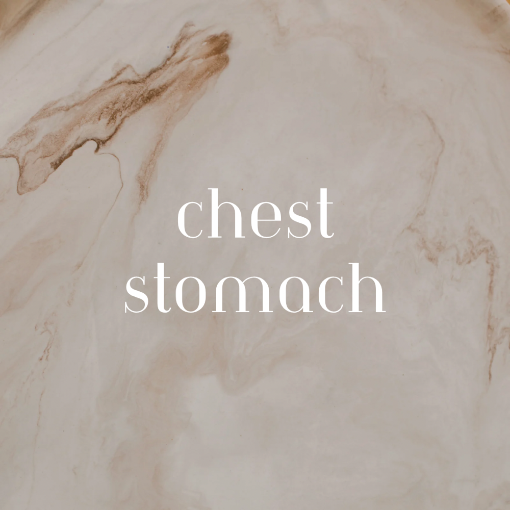 Chest/Stomach