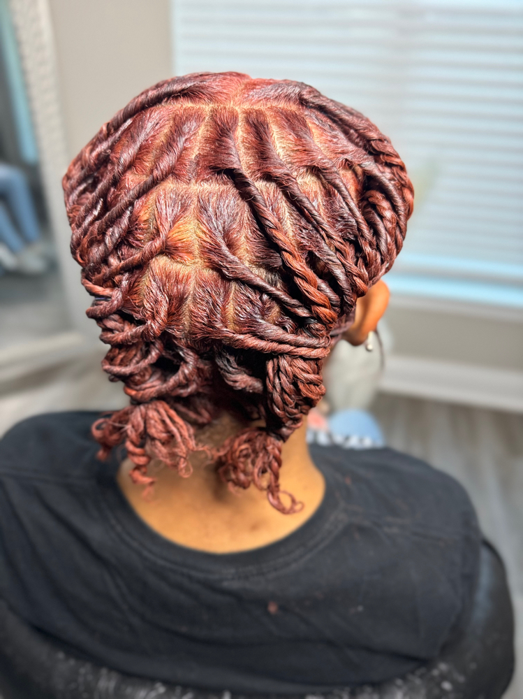 Traditional Locs (Starter)