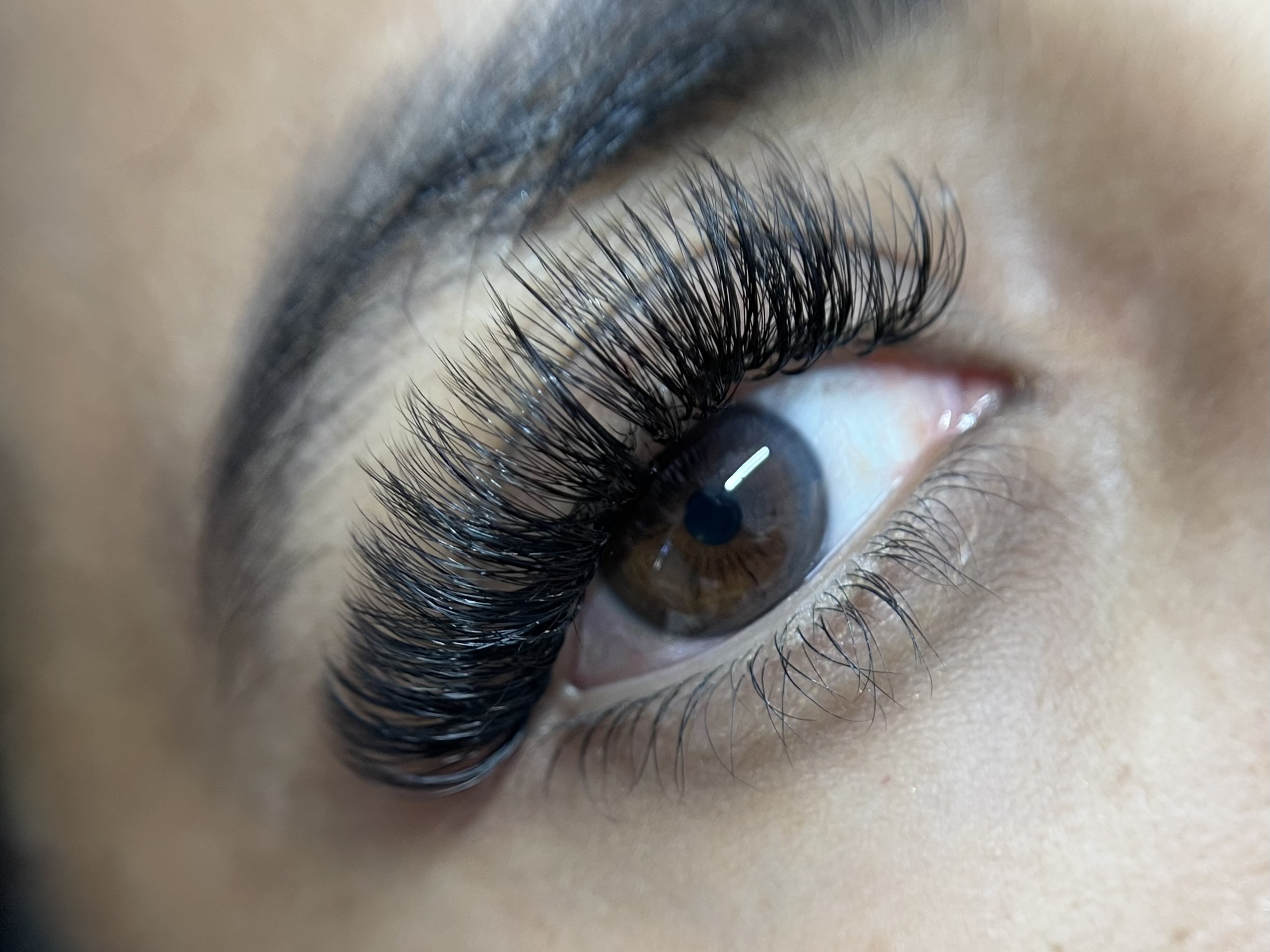 THE VOLUME 2 WEEK FILL at Forever Lashed in Norman, OK