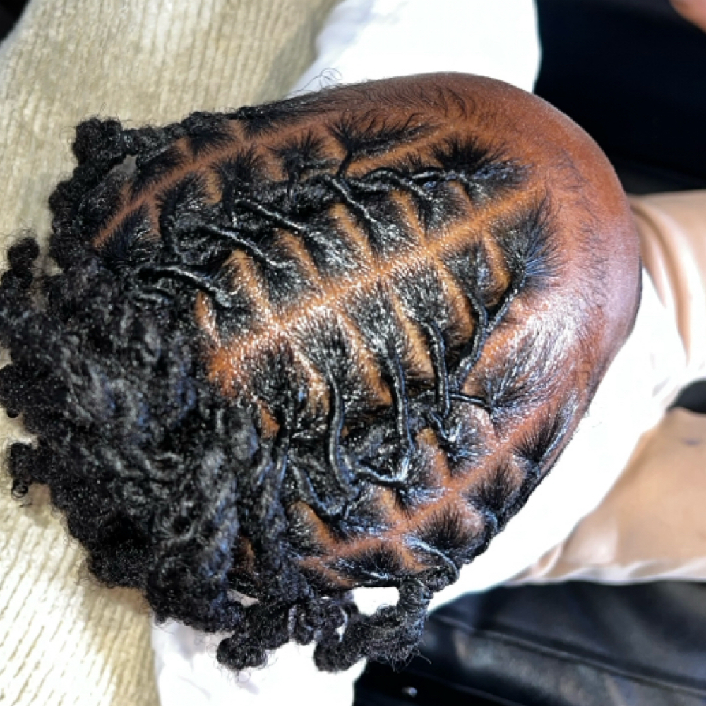 Locs/Dreads at Touched By Monica Nicole LLC in Saginaw, MI