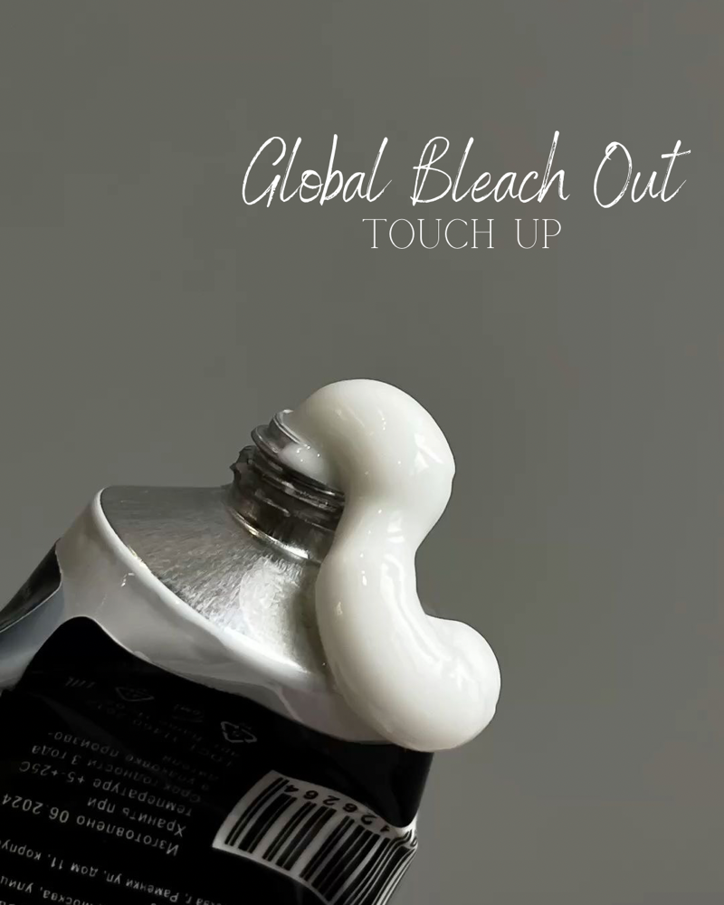 Global Bleach Touch Up at Landin Smith in Asheville, NC