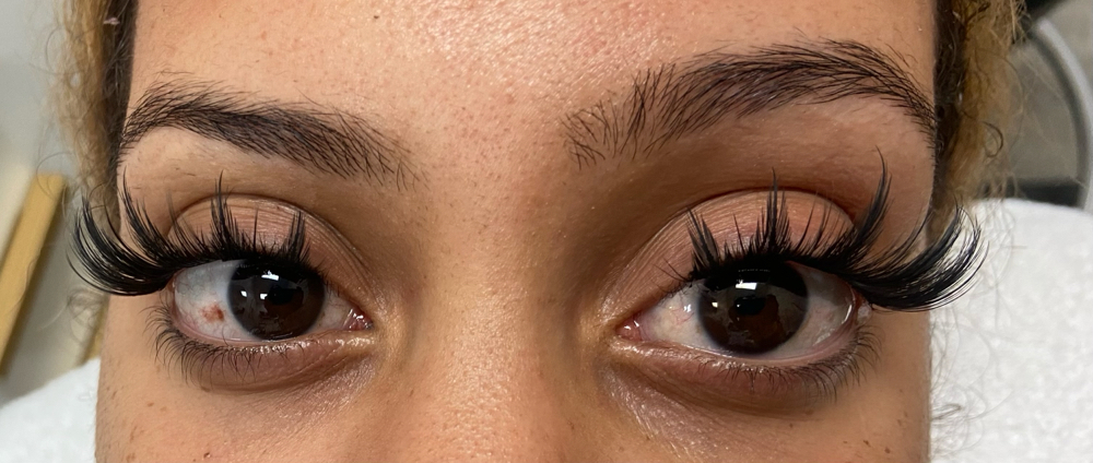 Cluster Eyelashes Animae