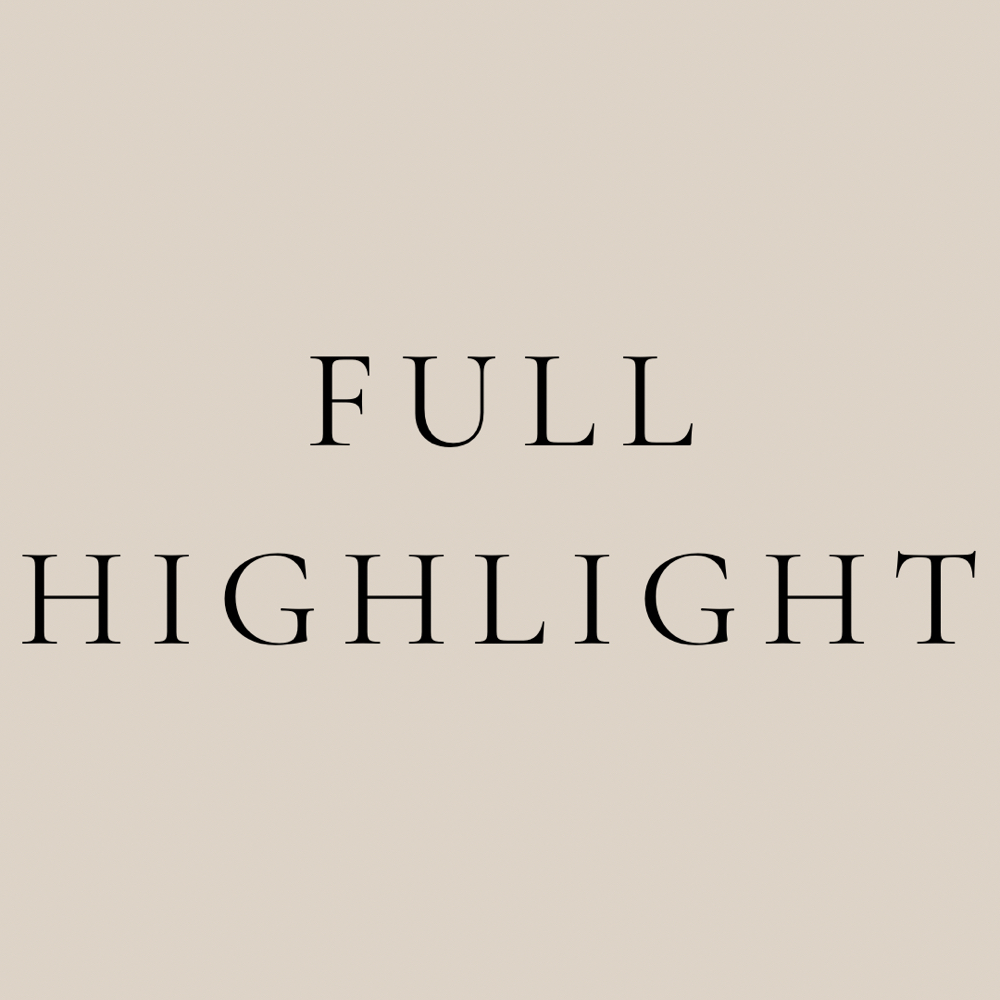 FULL HIGHLIGHT at Fox Hair Studios in Bossier City, LA