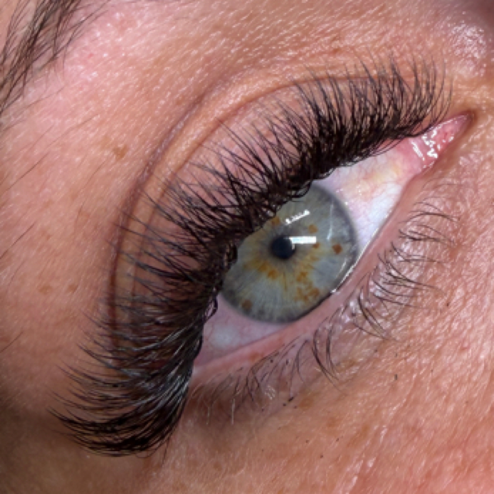 Volume Full Set at Silklashnbrow in Garden Grove, CA