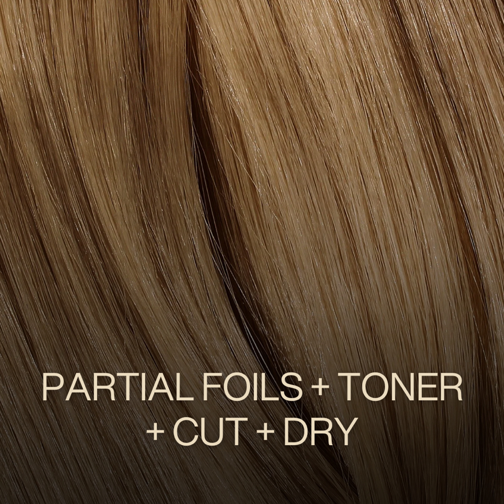 Partial Foils + Toner + Cut + Dry at Zemra Salon in Westborough, MA