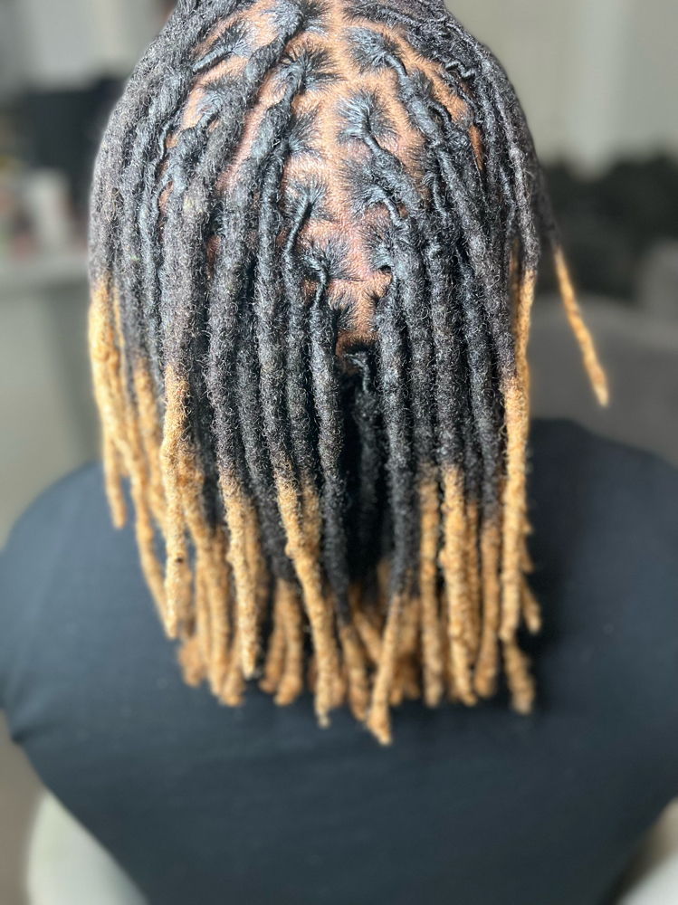 Loc Retwist