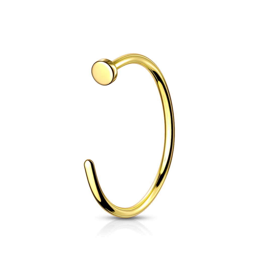 Flat Top Nose Hoop at Hive Studio in Red Oak, IA