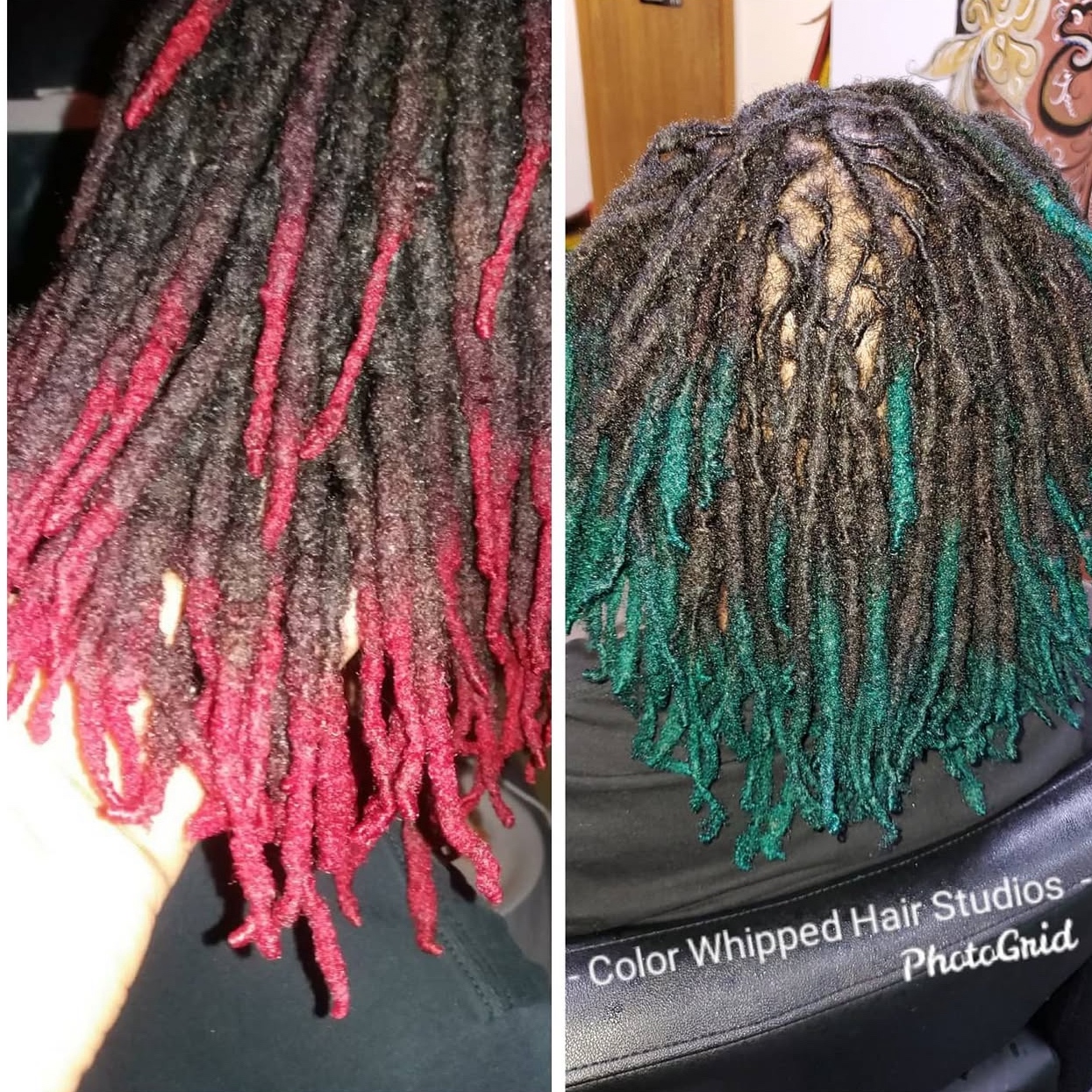 Coloring Locs at Color Whipped Hair Studios in Youngstown, OH