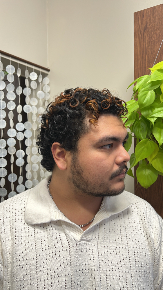 Curly Pixie Cut (Return Clients)