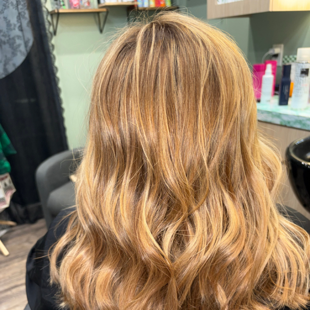 Full Highlight And Style at Hair by Charlie Megan in Dayton, OH