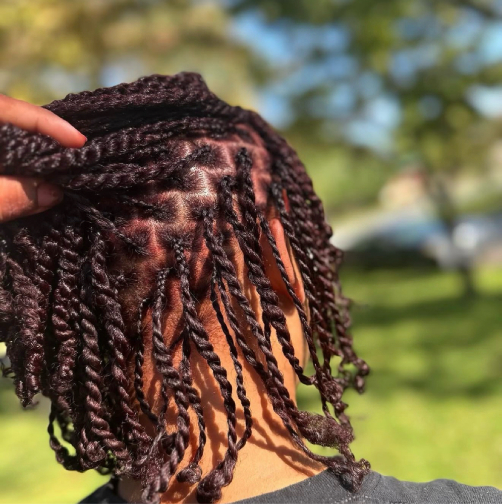 Mini Twist With Natural Hair at braidedbyniya in fayetteville, NC
