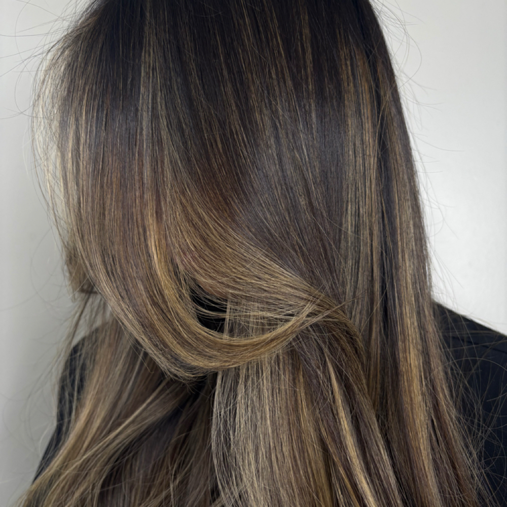 Full custom dimensional color at Emily Thornton in Jacksonville, FL