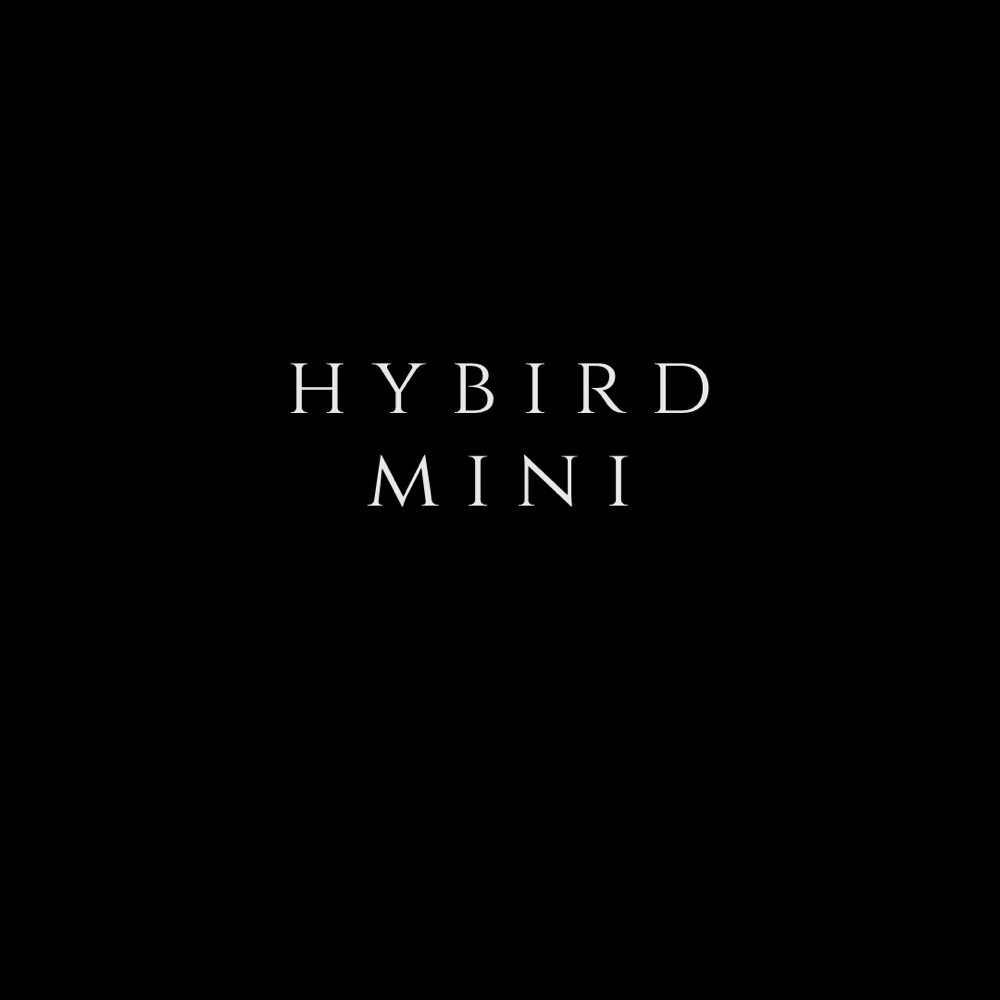 Hybrid Mini