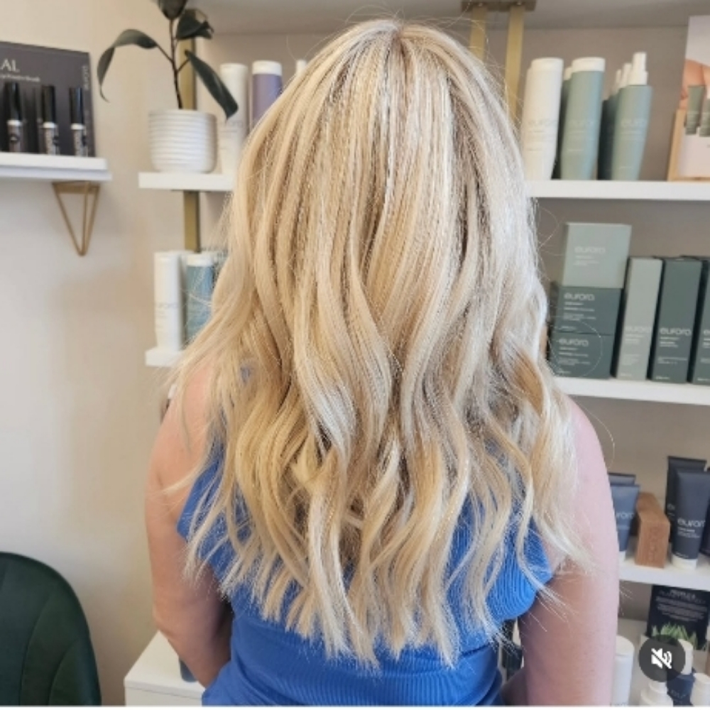 Full Highlight/Gloss & Style at Salon Blume in Cornelius, NC