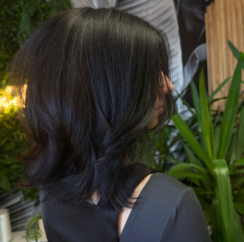 Basic Color at Hair By Willow Rae in Reno, NV