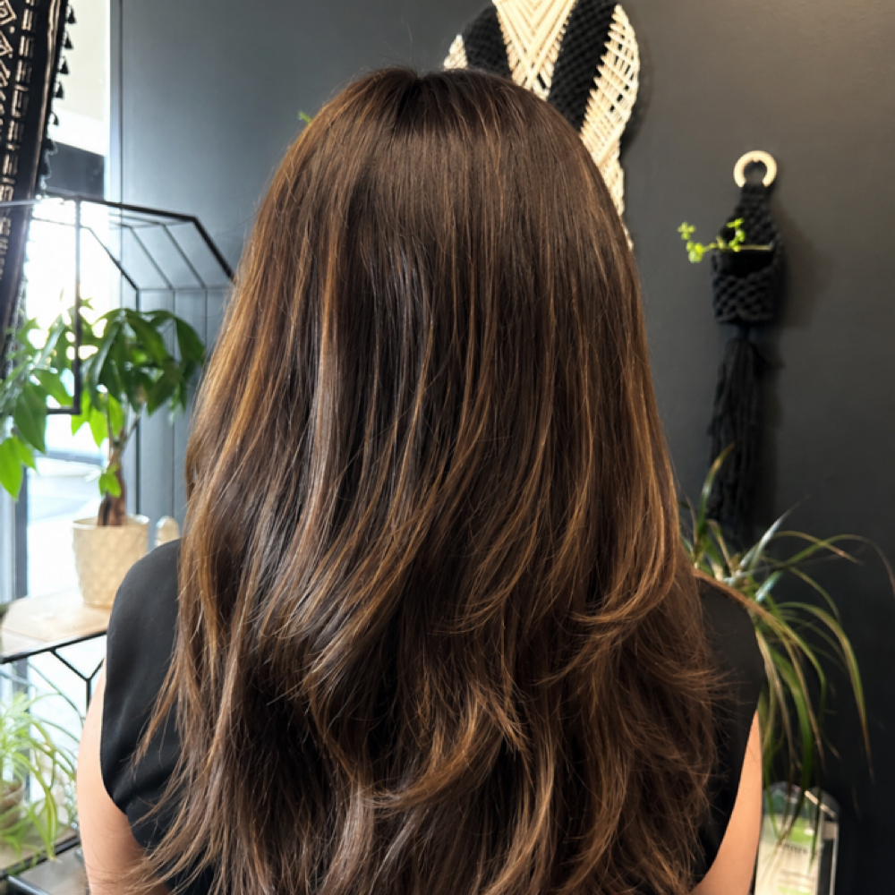 Partial Highlight + Haircut at Lisa V Hair & Makeup Studio in Fresno, CA