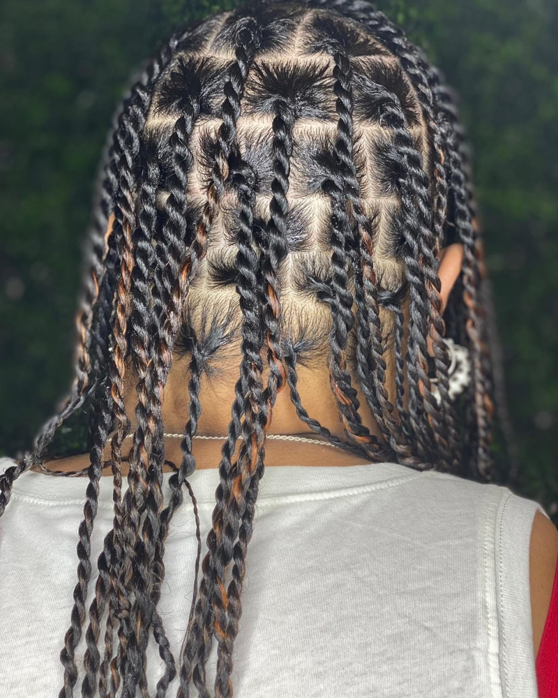 Two Strand Twist w/o Hair
