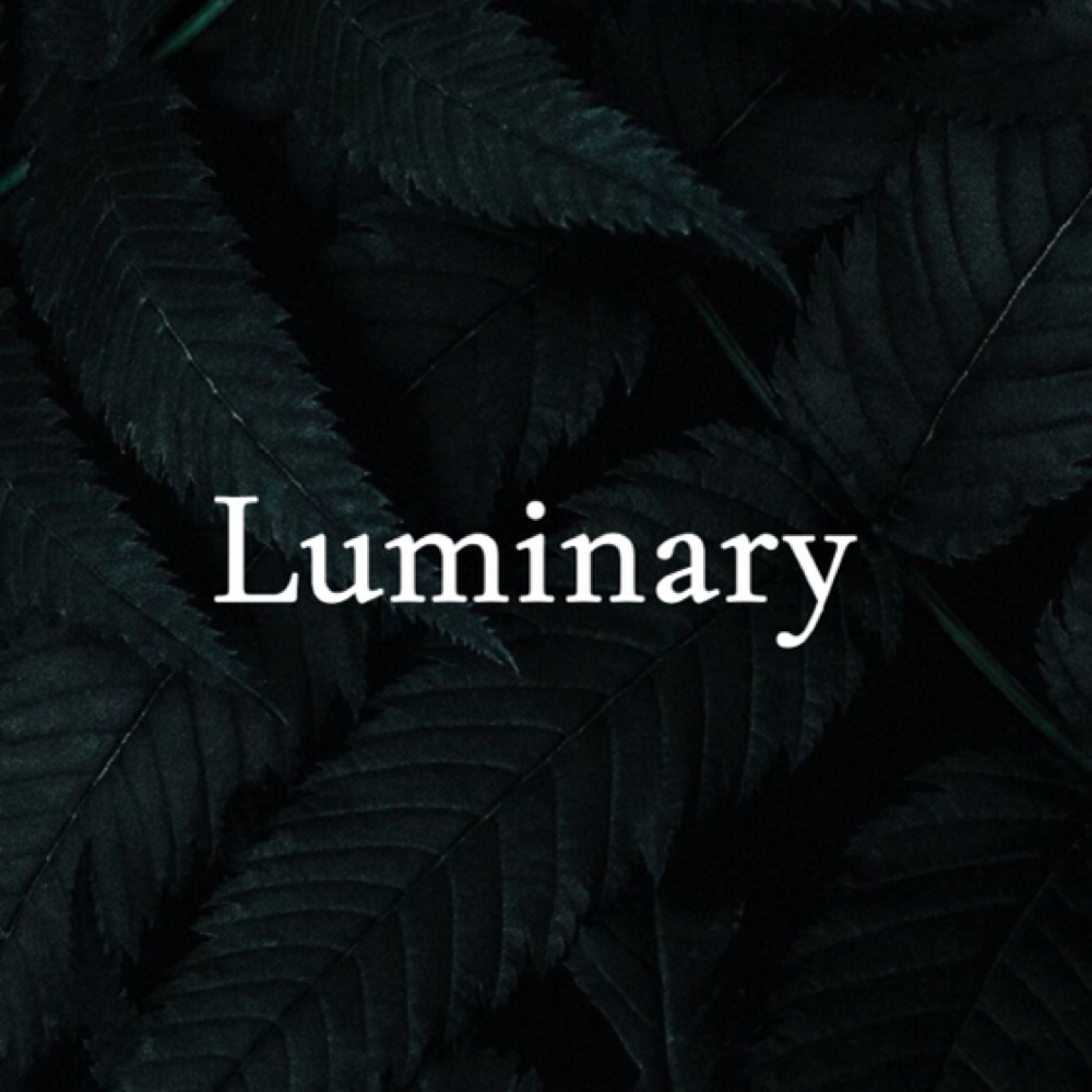 Luminary Mani: Full Set at Nails by Ash in Lancaster, OH