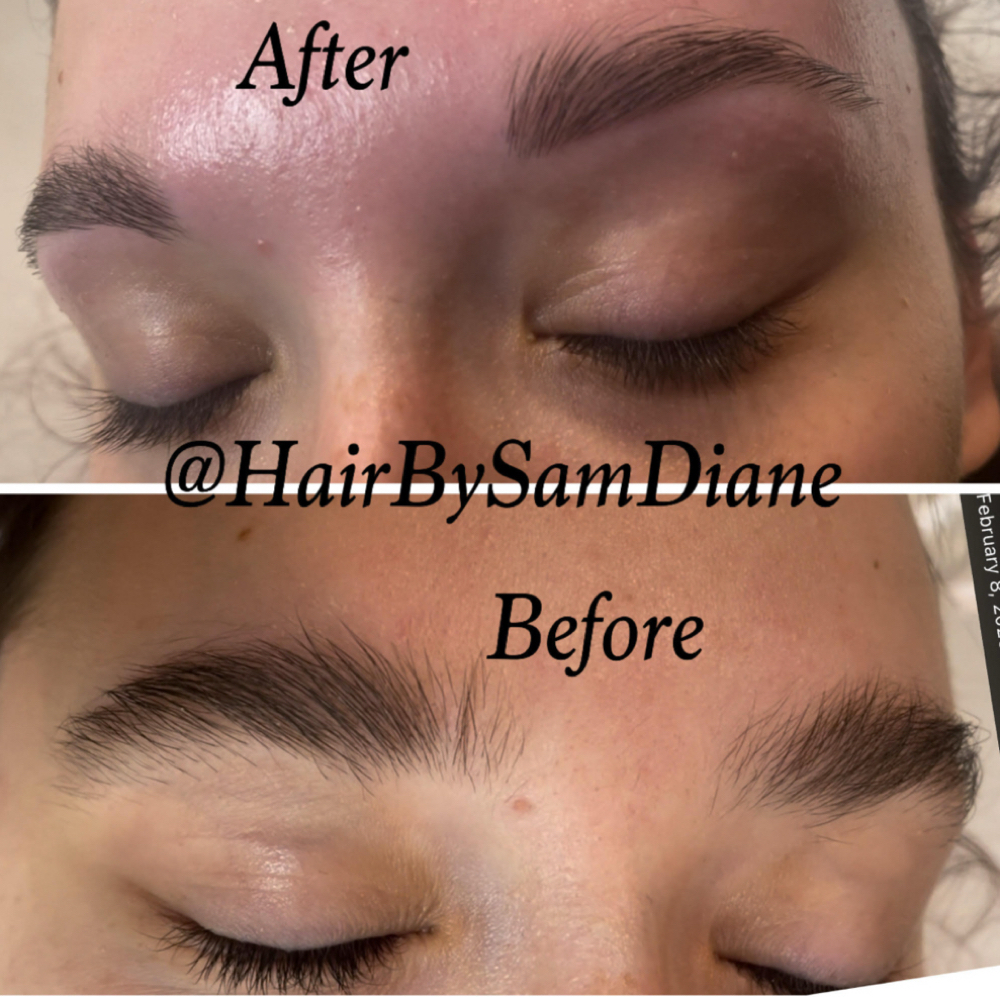 Facial Waxing / Eye Brow Color at HairBySamDiane in Pittsburgh, PA